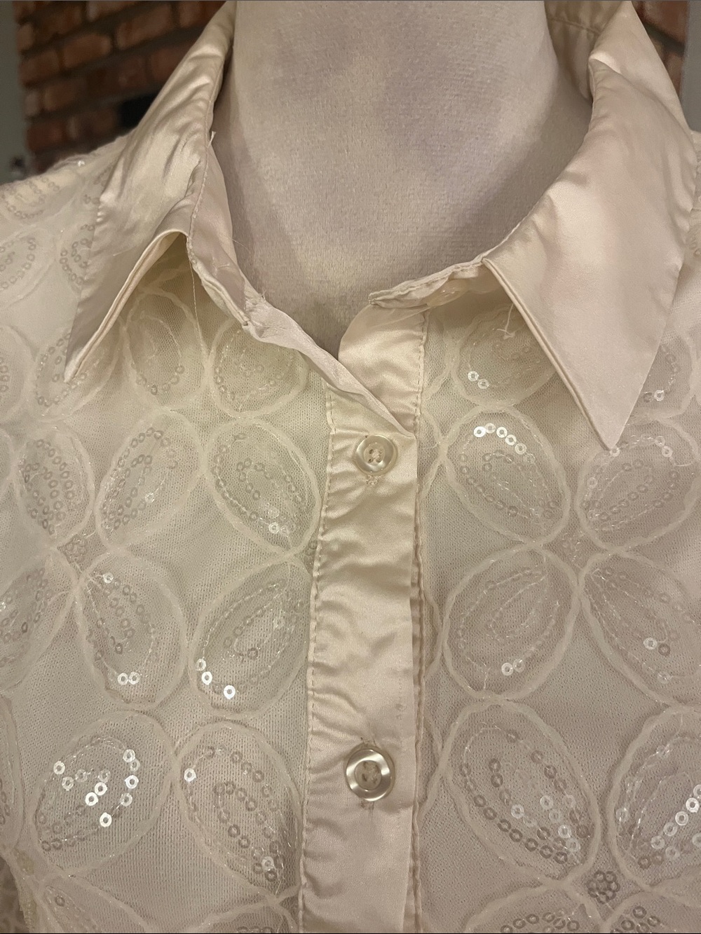 By Design Lace Button-Down Shirt with Sequin Detail - Picture 5 of 7